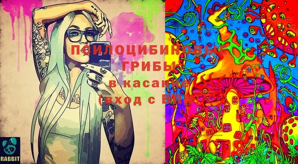 индика Балахна