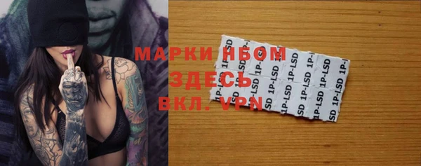 индика Балахна