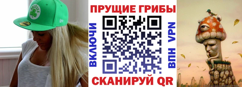 Галлюциногенные грибы Cubensis  Горячеводский 